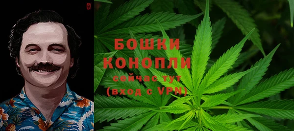гидра Заволжье