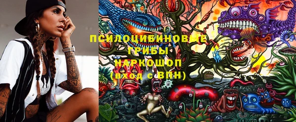 гидра Заволжье