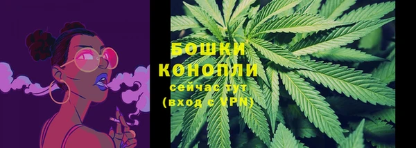 гидра Заволжье